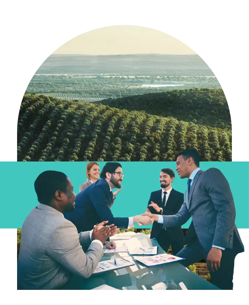 Two businesspeople shaking hands across a table during a meeting