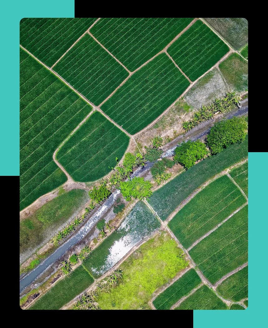 Nachhaltigkeit für Lebensmittel und Landwirtschaft