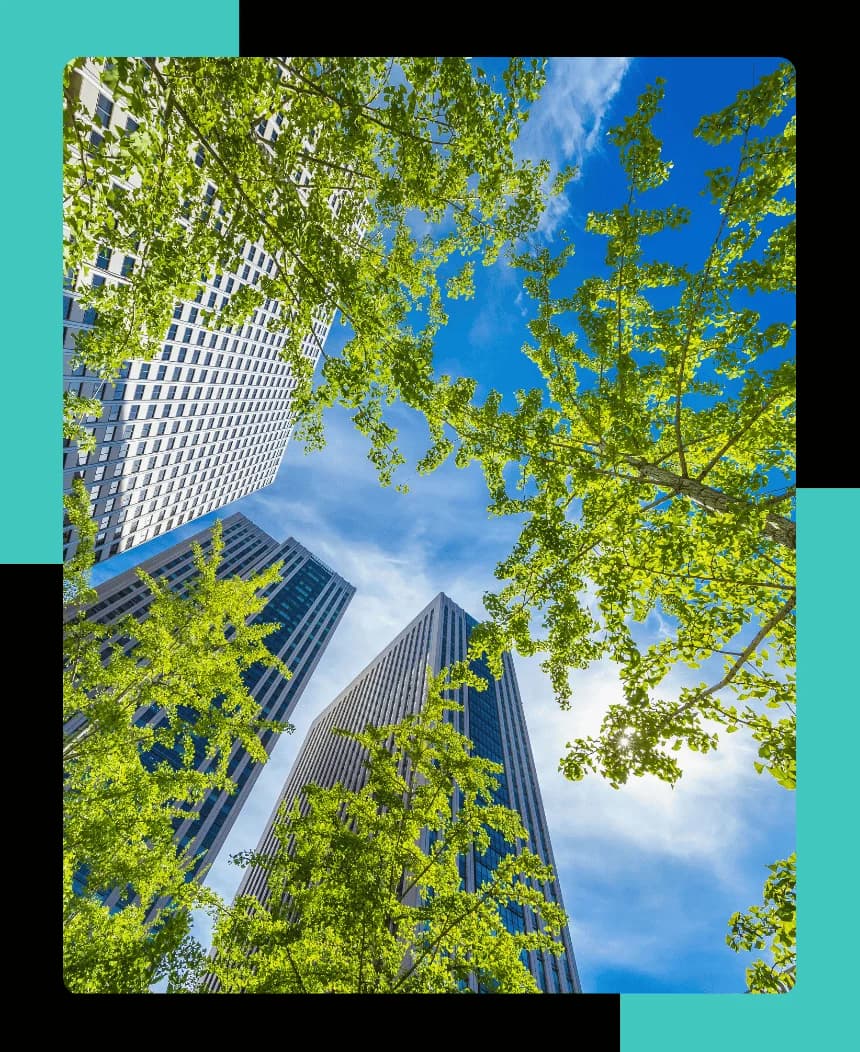 Bomen in een stad